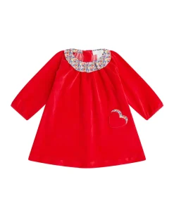 Floral Berry Ruffle Collar Velour Dress - Baby